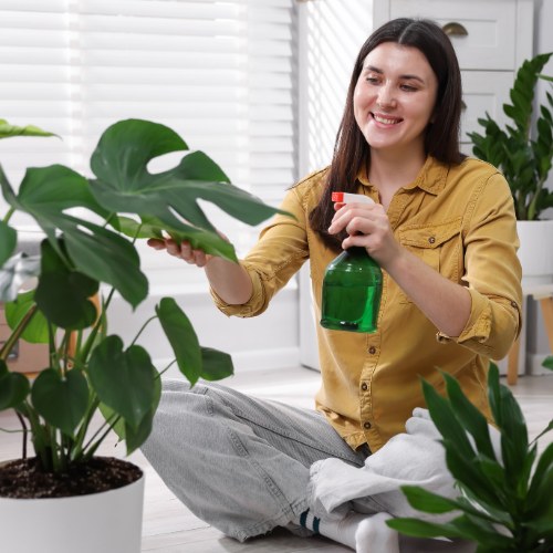 Kamerplanten verzorging