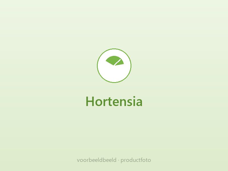 Hortensia
