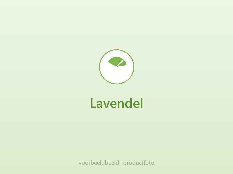 Lavendel