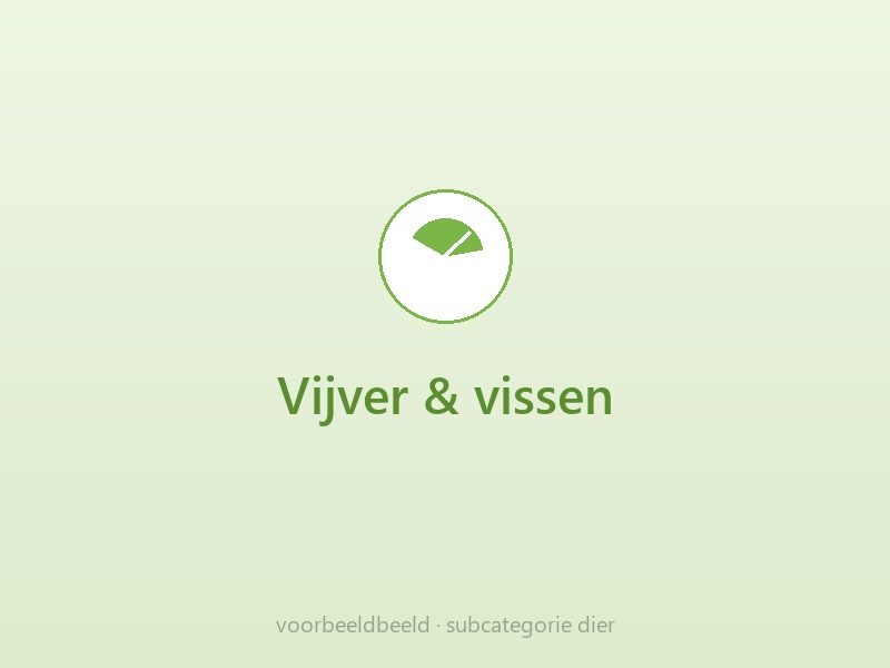 Vijver & vissen