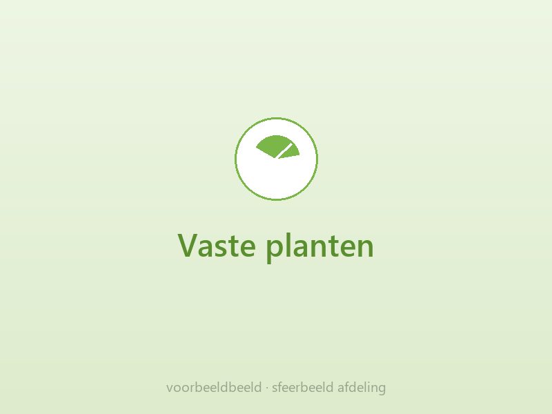 De vasteplantentafels op ons buitenterrein